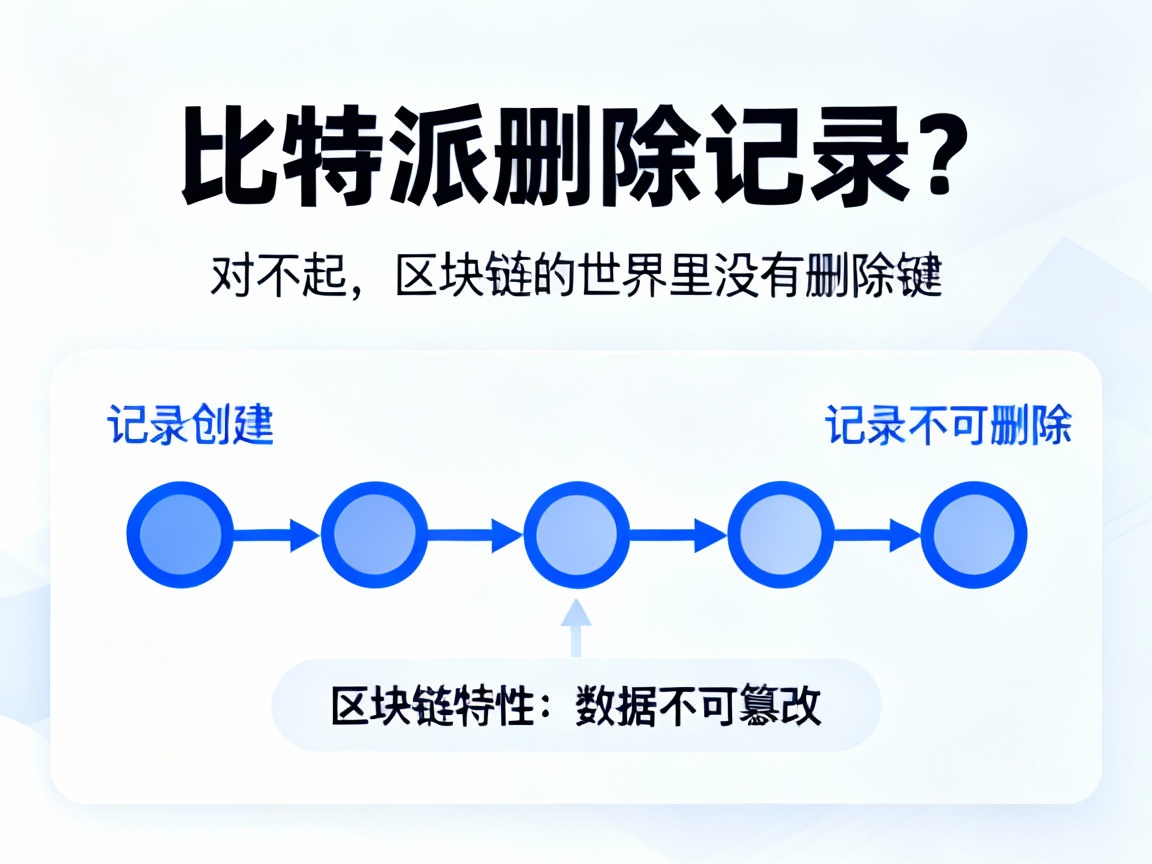 比特派删除记录？对不起，区块链的世界里没有删除键