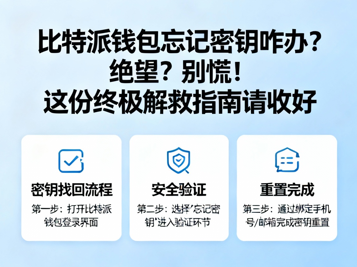 比特派钱包忘记密钥咋办？绝望？别慌！这份终极解救指南请收好
