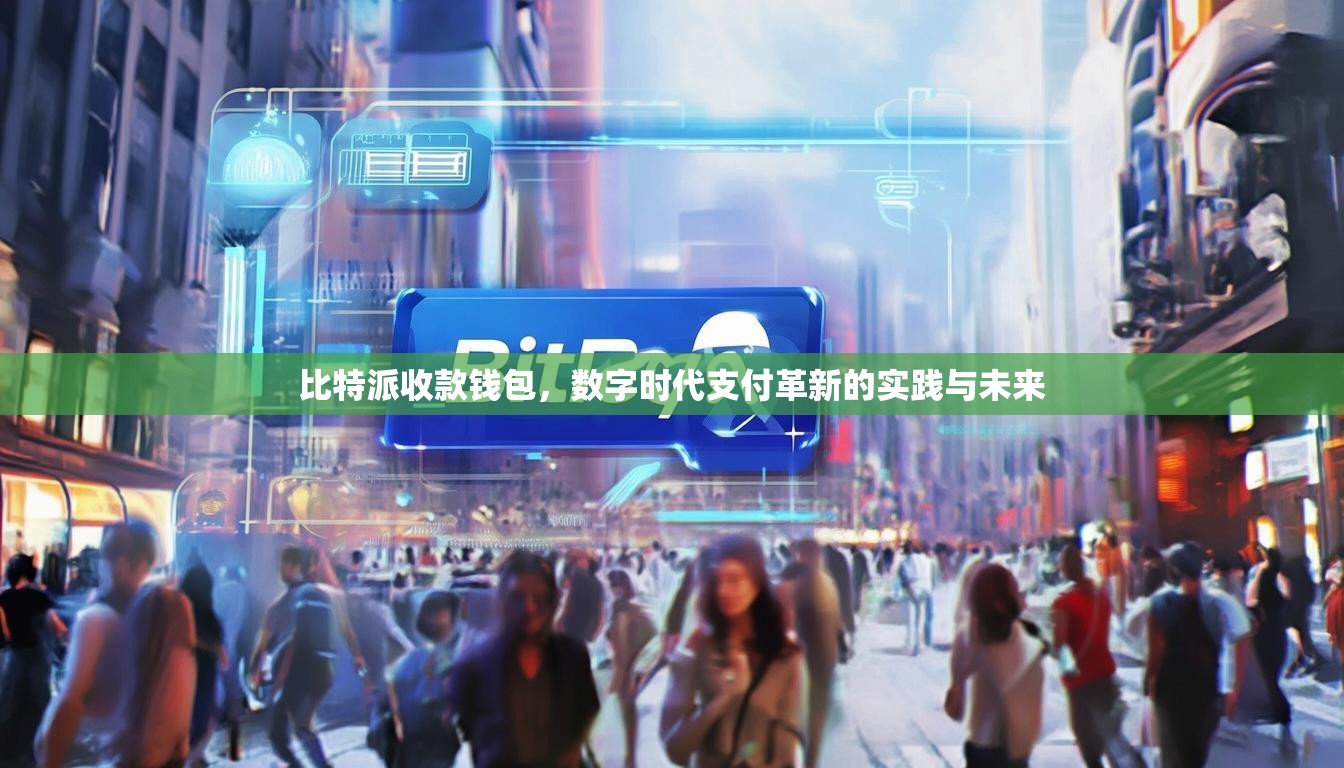 比特派收款钱包，数字时代支付革新的实践与未来