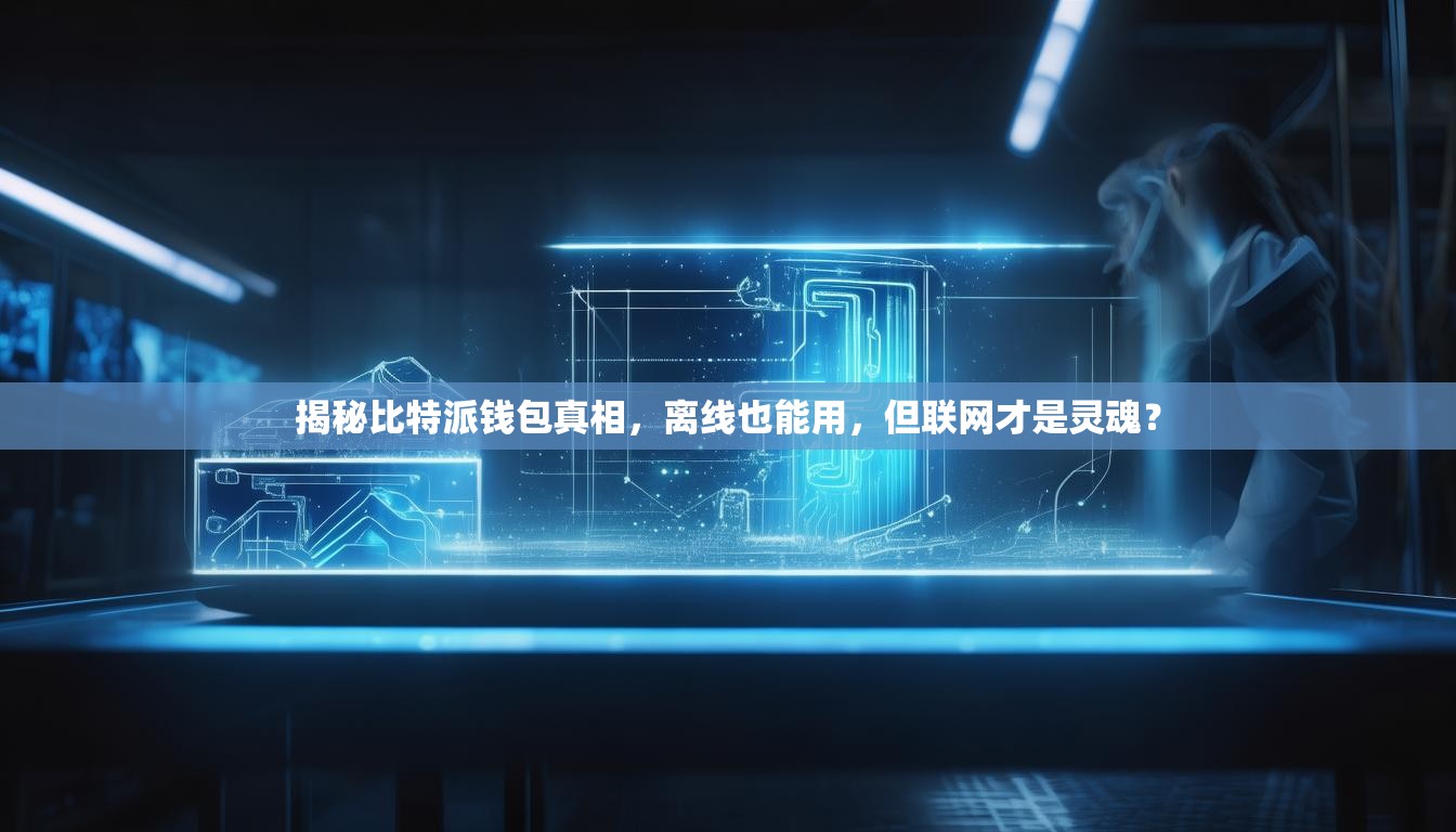 揭秘比特派钱包真相，离线也能用，但联网才是灵魂？
