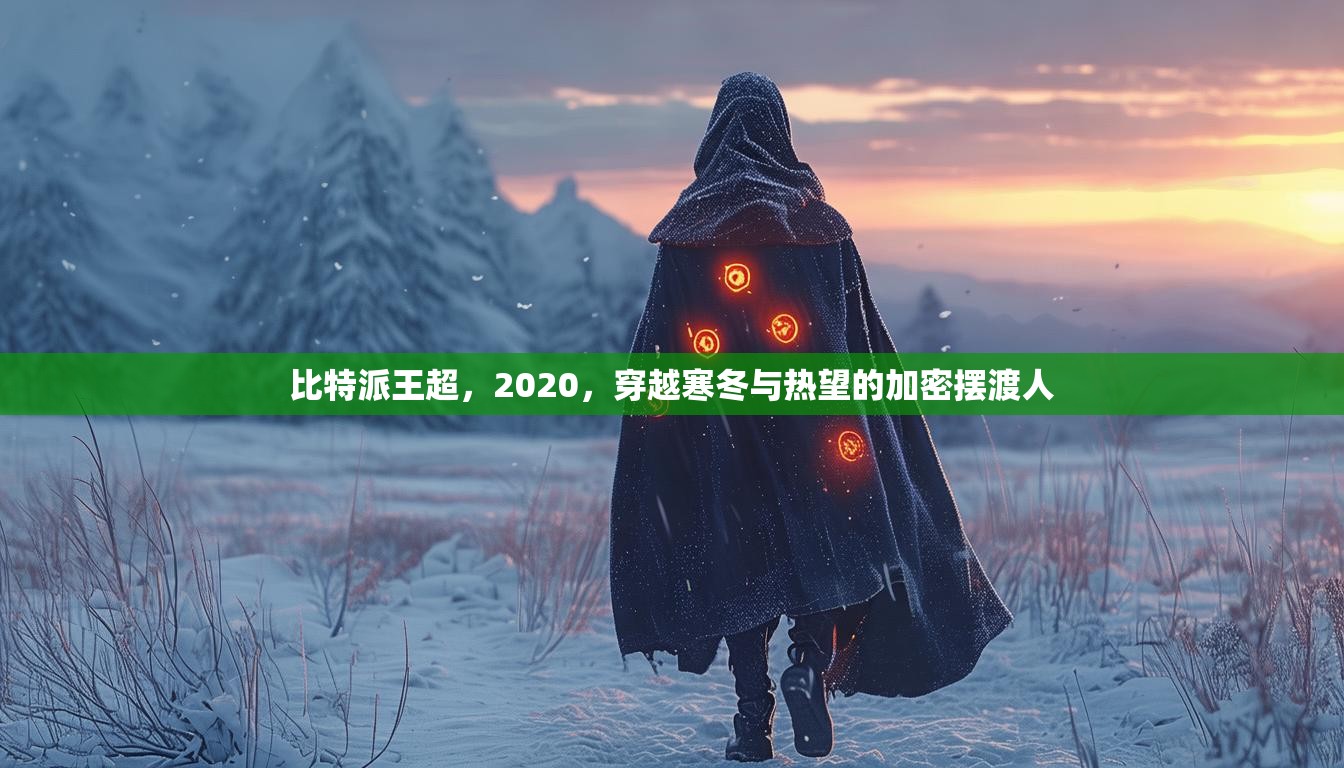 比特派王超，2020，穿越寒冬与热望的加密摆渡人