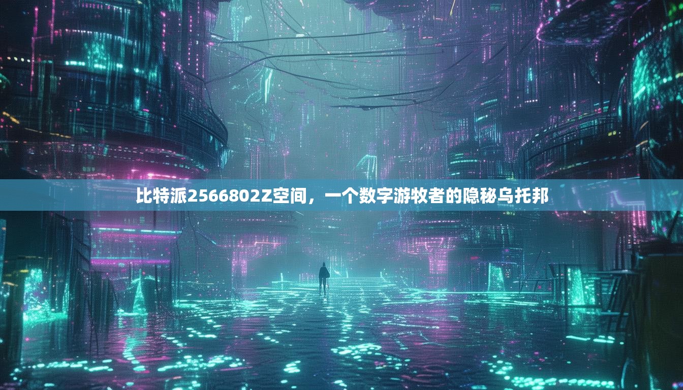 比特派2566802Z空间，一个数字游牧者的隐秘乌托邦