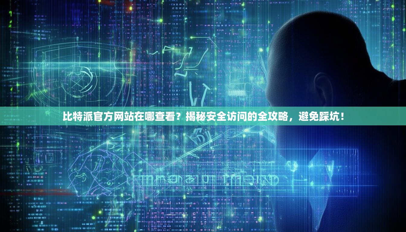 比特派官方网站在哪查看？揭秘安全访问的全攻略，避免踩坑！